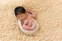 View More: http://brookegragg.pass.us/ari-newborn-2019